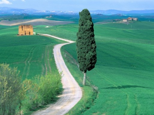 不能拿因果来衡量别人