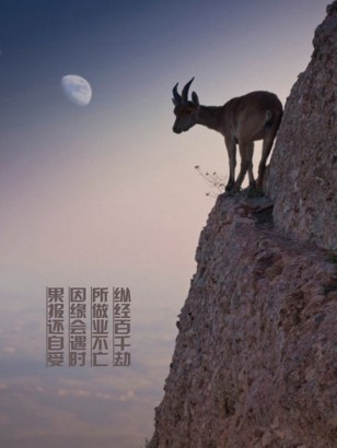 春种秋收如因果