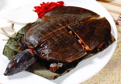 「鱼王」吃甲鱼而毙命