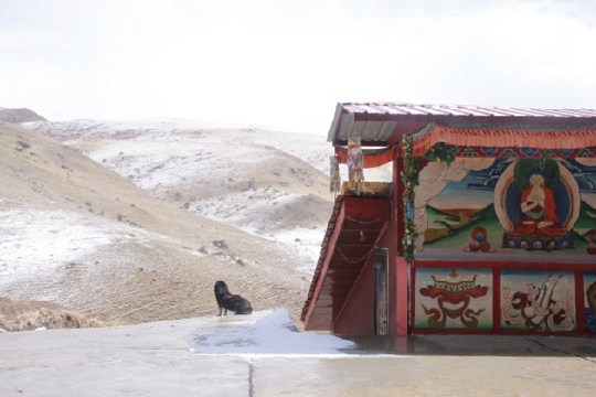 转变和超越因果