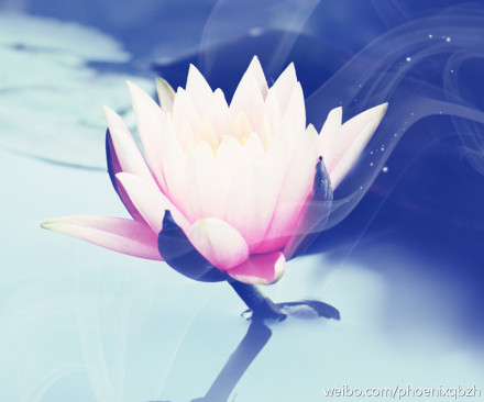 善恶因果为什么不能立即成熟