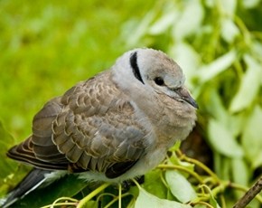 因果循环,辗转相续