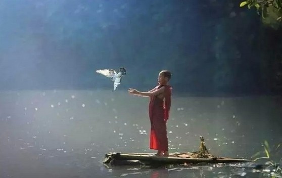 「一切法皆是佛法」的含义