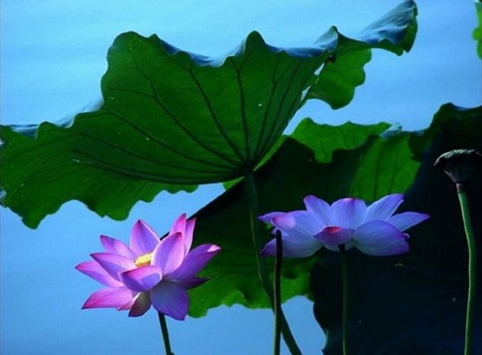 把财色关过了，修学佛法才算入门