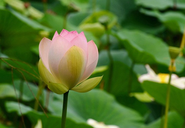 道人与正常人之间如何做个平衡