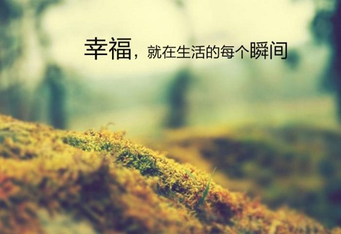 将一切追求与执取放下