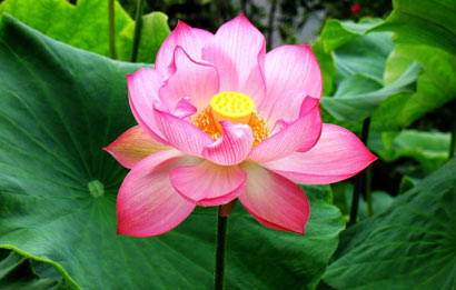 一直善良下去，总会离幸福更近