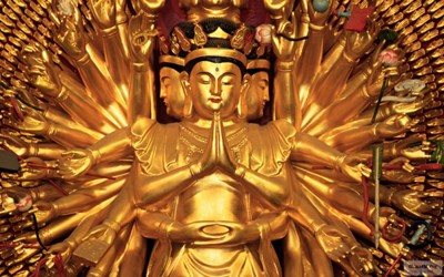 法布施增长智慧