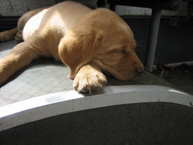 公车上睡觉看书的危害