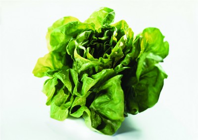 去除蔬菜农药的六个绝招