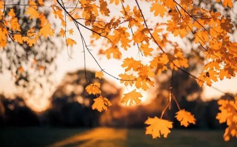 令心明记不忘为性