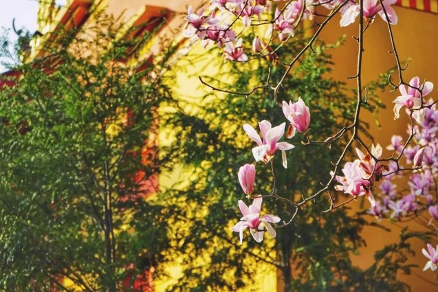 工穷力极本来面目现