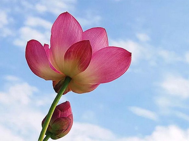 口德决定运势，聪明人不说的10种话