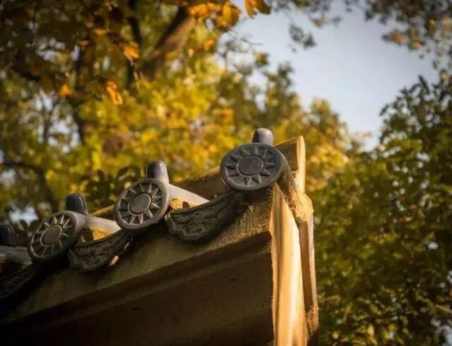 嫉者，殉自名利不耐他荣