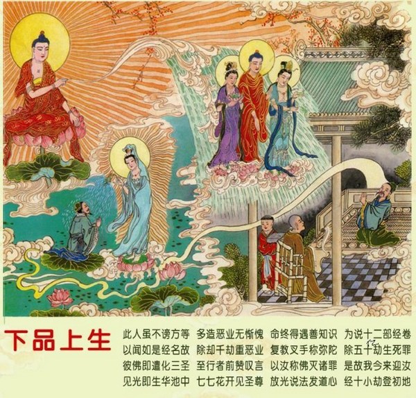 往生极乐世界九品莲位图文详解