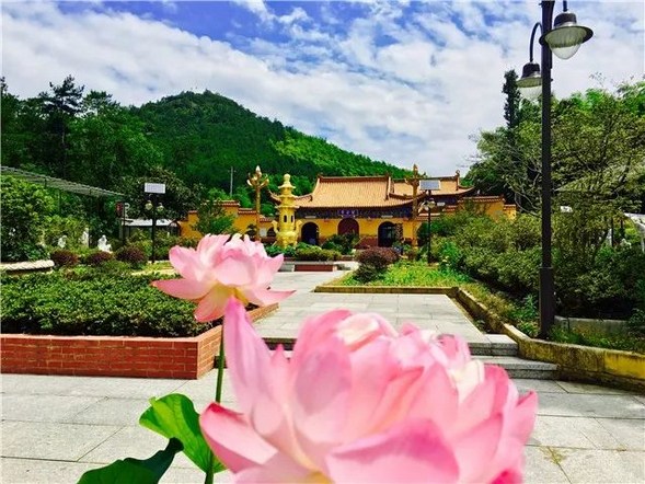 以能护持正法因缘，故得成就金刚身