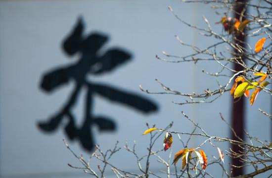 像死人一样做功夫