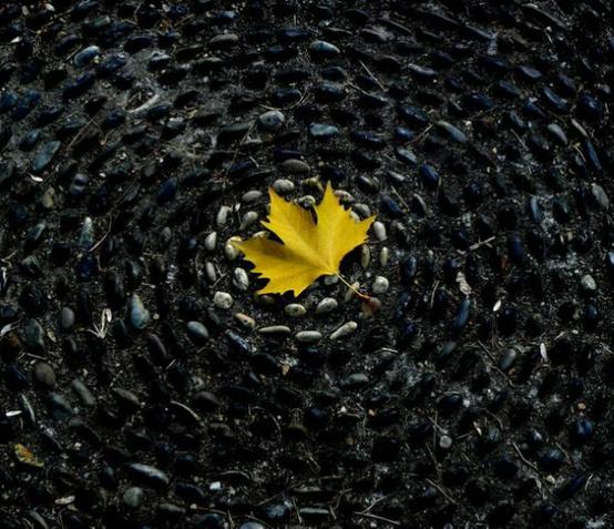 好好参一参腿疼的是谁