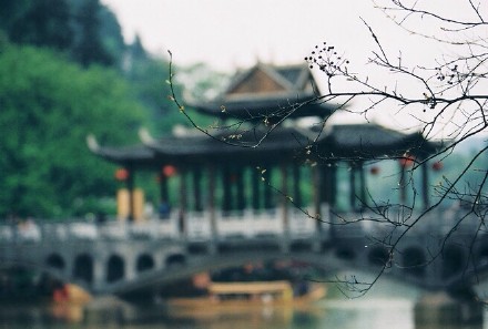 诸法无自性，一切皆无永恒