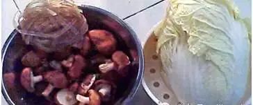 九种素饺子的做法