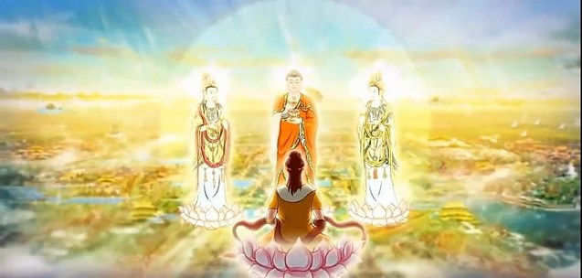 拖尸人的惭愧与忏悔