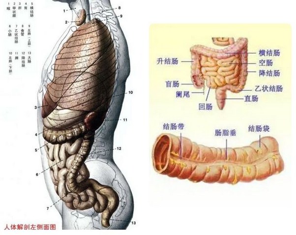 拖尸人的惭愧与忏悔