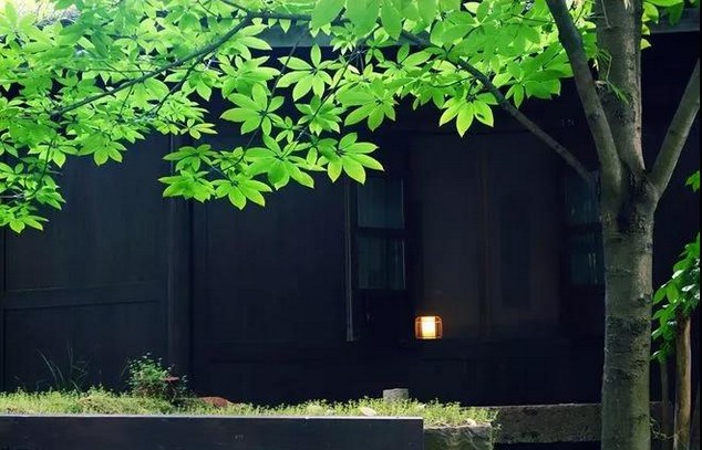 失念者，于诸所缘，不能明记为性