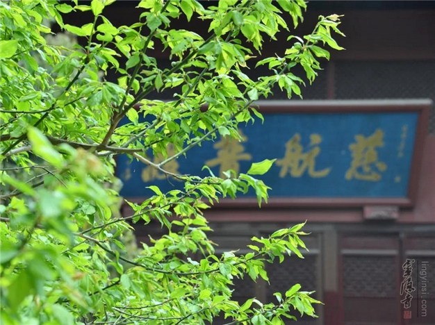 睡眠者，昧略为性，障观为业