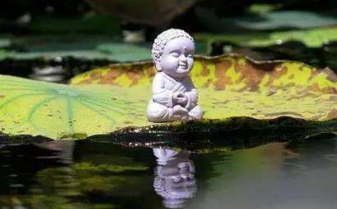 一句佛号，超越供养布施